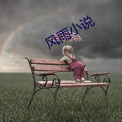 风雨小说