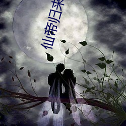 仙帝归来楚寻