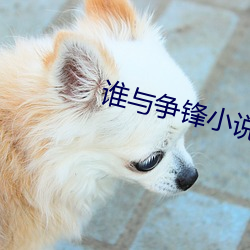 谁与争锋小说