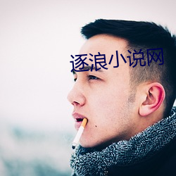 逐浪小說網