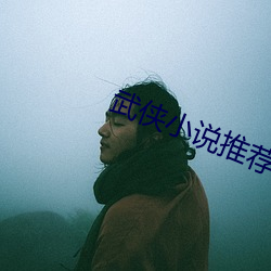 武侠(俠)小(小)说(說)推荐(薦)