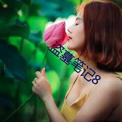 盗墓笔记8