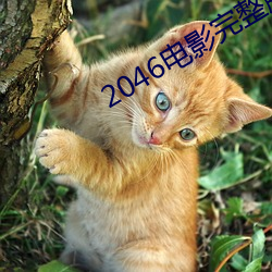 2046电影完整版在线观看