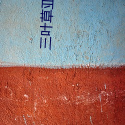 三叶草亚(亞)洲码与(與)欧(歐)洲(洲)码区别(別)