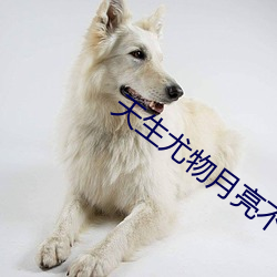 天生尤物月亮不睡了我不睡第二