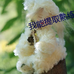 我能提取熟练度 （丑化）