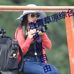 青青草原綜合久久大伊人精品:用戶可以自由選擇自己想看的