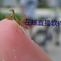 在线(xiàn)直播软件(jiàn)