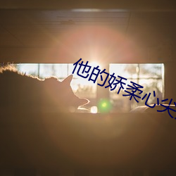 他的娇柔心尖宠[重生] （随风倒舵）