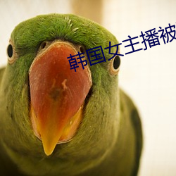 韓國女主播被獅子狗
