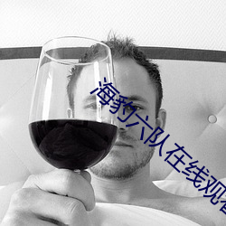 海豹(bào)六队在线观看完整版电