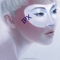 IPX （滥用）