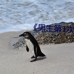 《男生第1次也會痛嗎