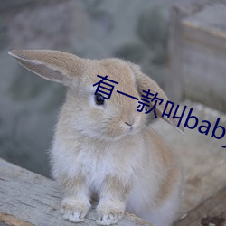 有一款叫baby直(直)播的(的)软件