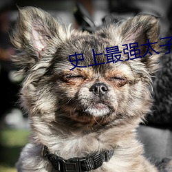 史上最強太子爺