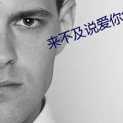 来(lái)不(bù)及说(shuō)爱你免费在线阅读