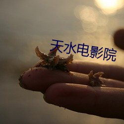 天(tiān)水电影(yǐng)院