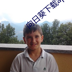 向日葵下载api免(免)费麻豆(豆)