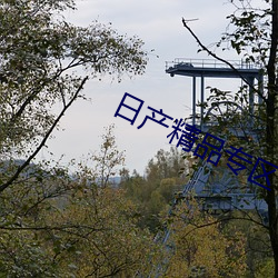 日产精品专区
