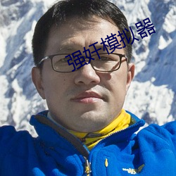 强奸模拟器