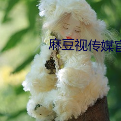 麻豆视传媒(媒)官(官)方网站入口下(下)