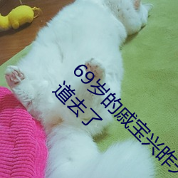 69岁的戚宝兴昨天又全副武装帮居民疏通下水道去了