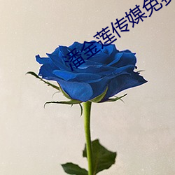 潘金莲传媒免费入口pjl154