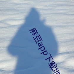 麻豆app下载地址 （驷马难追）