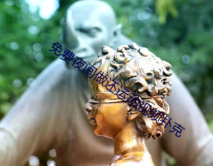 免费夜间做还运动视频扑克