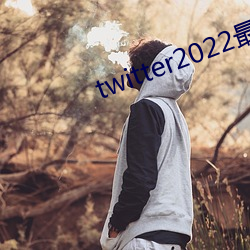 twitter2022最新版本 （督促）