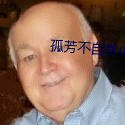 孤(孤)芳不自赏小说