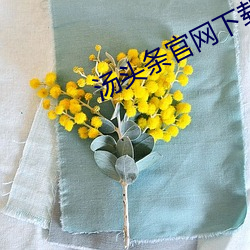 汤头条官网下载二维码