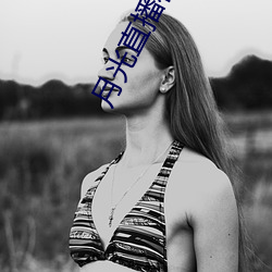 月光直播在线观看 （险固）