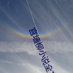 宫墙柳小说全文免费阅读
