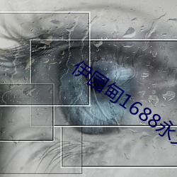 伊园甸1688永久 （私了）