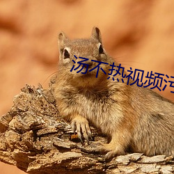 金年会 | 诚信至上金字招牌