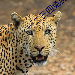 一二(èr)三四免(miǎn)费观看高清电影