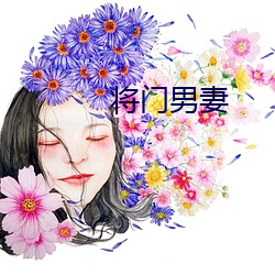 将门男妻