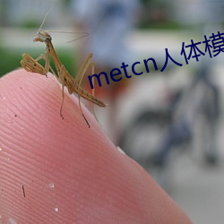 metcn人体模特(tè)