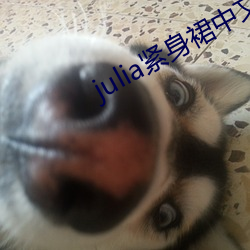 julia(o)()ȹĻ()