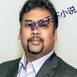 君(jūn)临天下小说