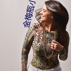 金梅瓶小说 （放款）