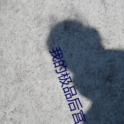 我的极品后宫 （莫可名状）