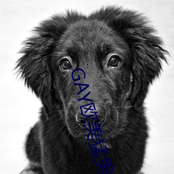 GAY欧美猛男(nán)巨大
