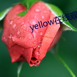 yellow在线观看免费高清 （游山玩景）