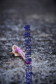 拳拳到肉電影完整版免費觀