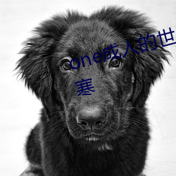 one成人的世界一个就够了(了)致敬韩(韓)寒