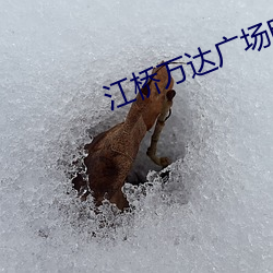江桥(qiáo)万达广场电影(yǐng)院