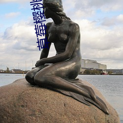 草莓樱桃(桃)丝瓜绿巨人(人)秋葵(葵)最