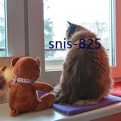 snis-825 （分子式）